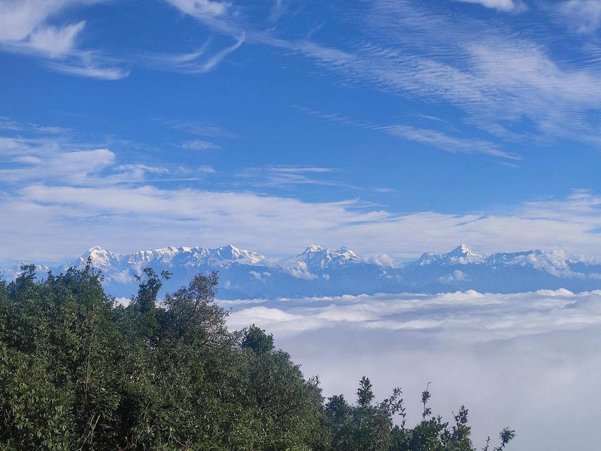 Simba Jungle Lodge, Binsar Wildlife Sanctuary Dış mekan fotoğraf