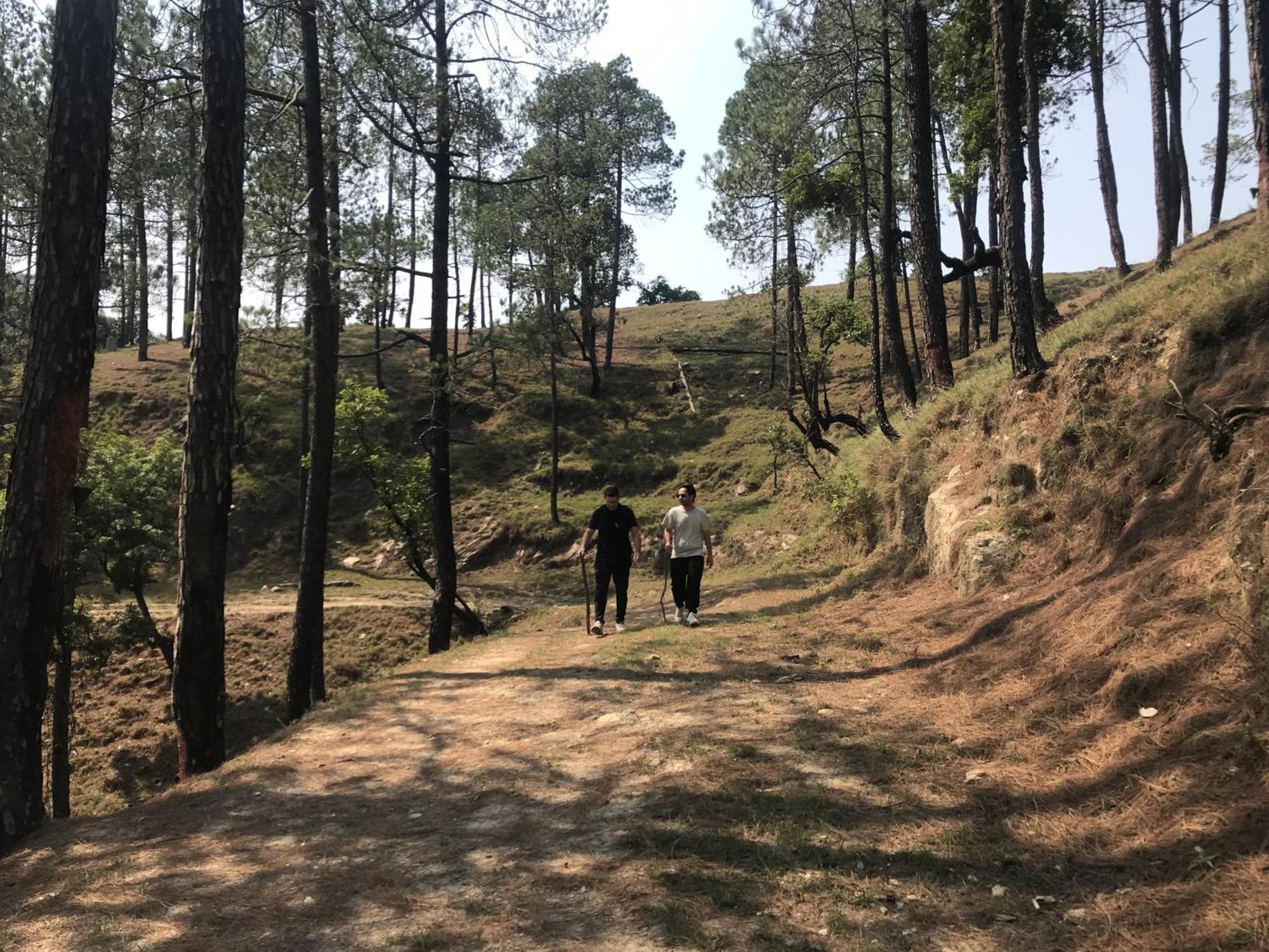Simba Jungle Lodge, Binsar Wildlife Sanctuary Dış mekan fotoğraf