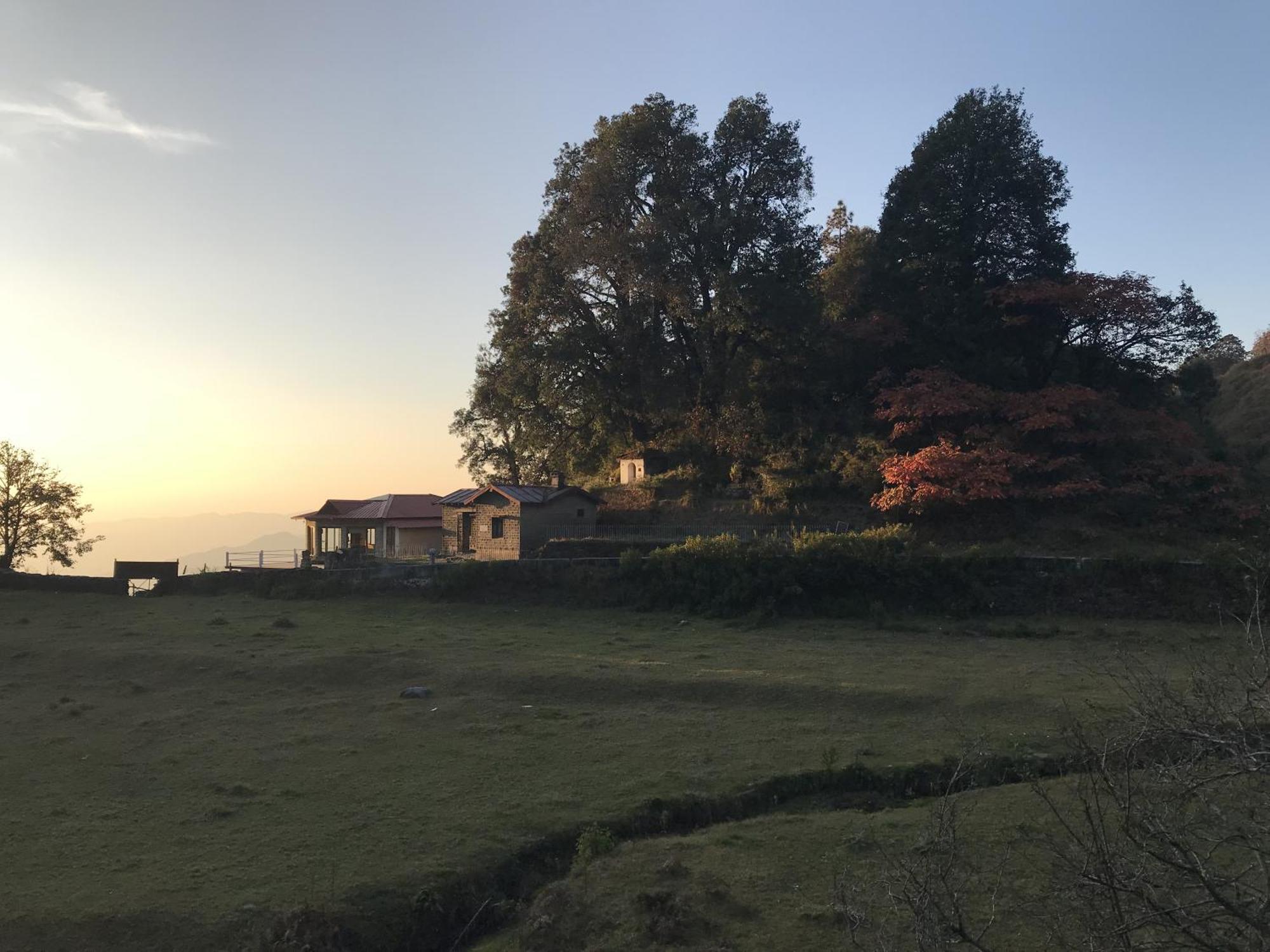Simba Jungle Lodge, Binsar Wildlife Sanctuary Dış mekan fotoğraf