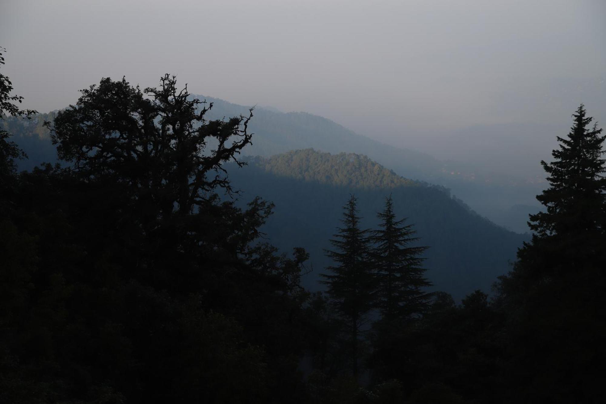 Simba Jungle Lodge, Binsar Wildlife Sanctuary Dış mekan fotoğraf
