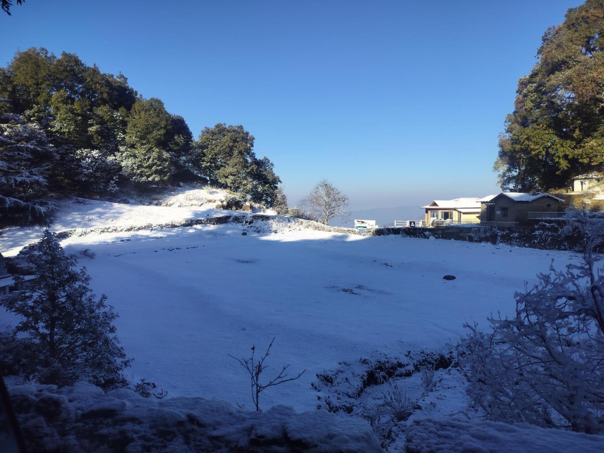 Simba Jungle Lodge, Binsar Wildlife Sanctuary Dış mekan fotoğraf