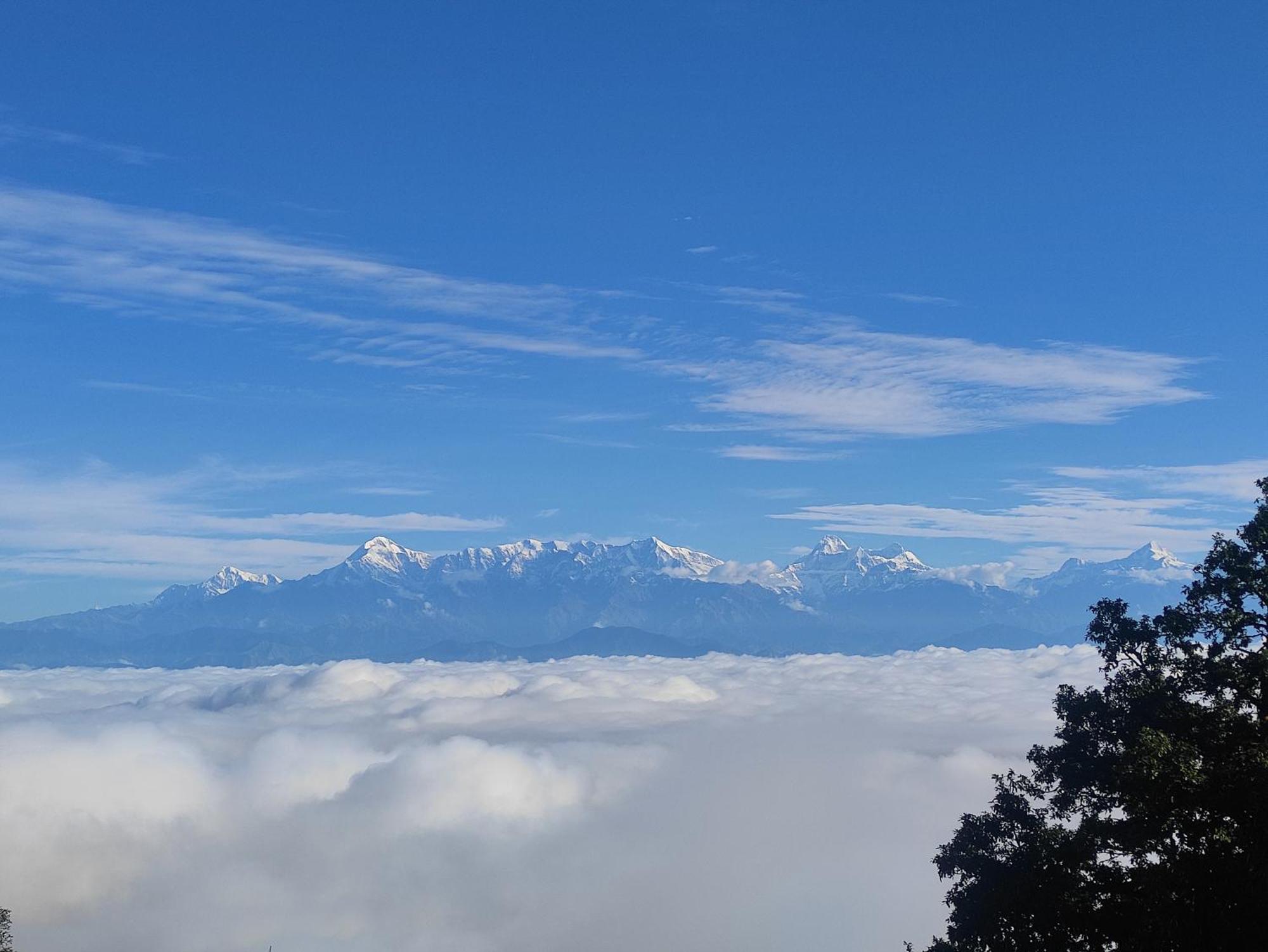 Simba Jungle Lodge, Binsar Wildlife Sanctuary Dış mekan fotoğraf